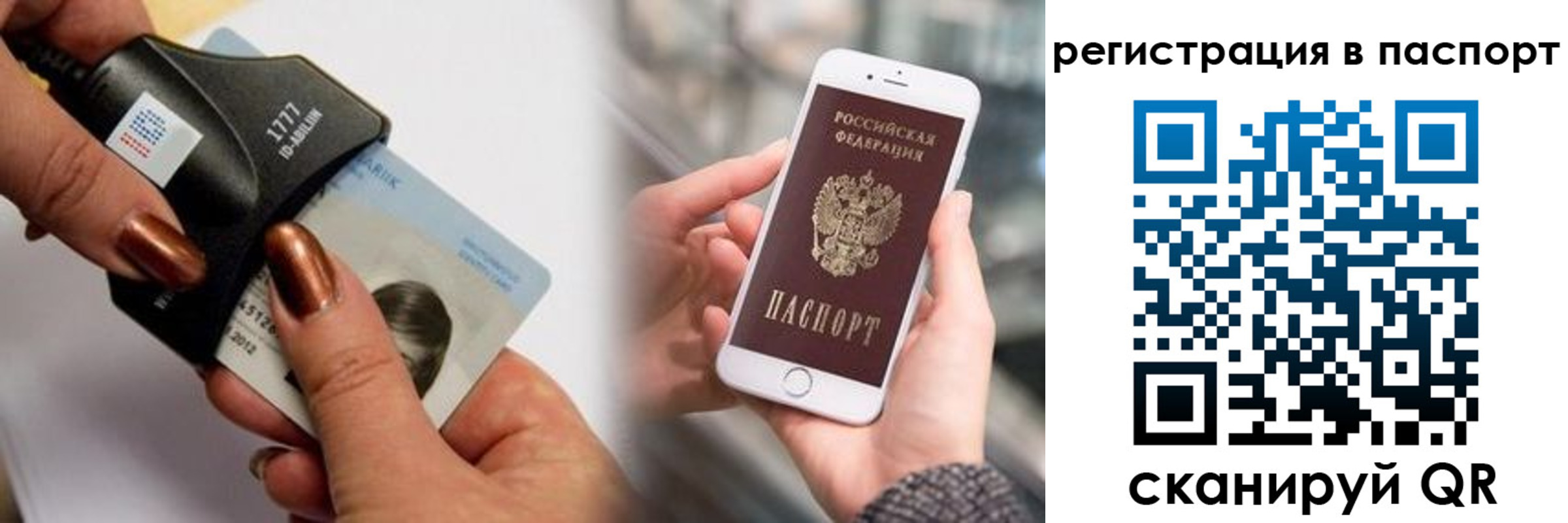 найти адрес прописки в Тайге